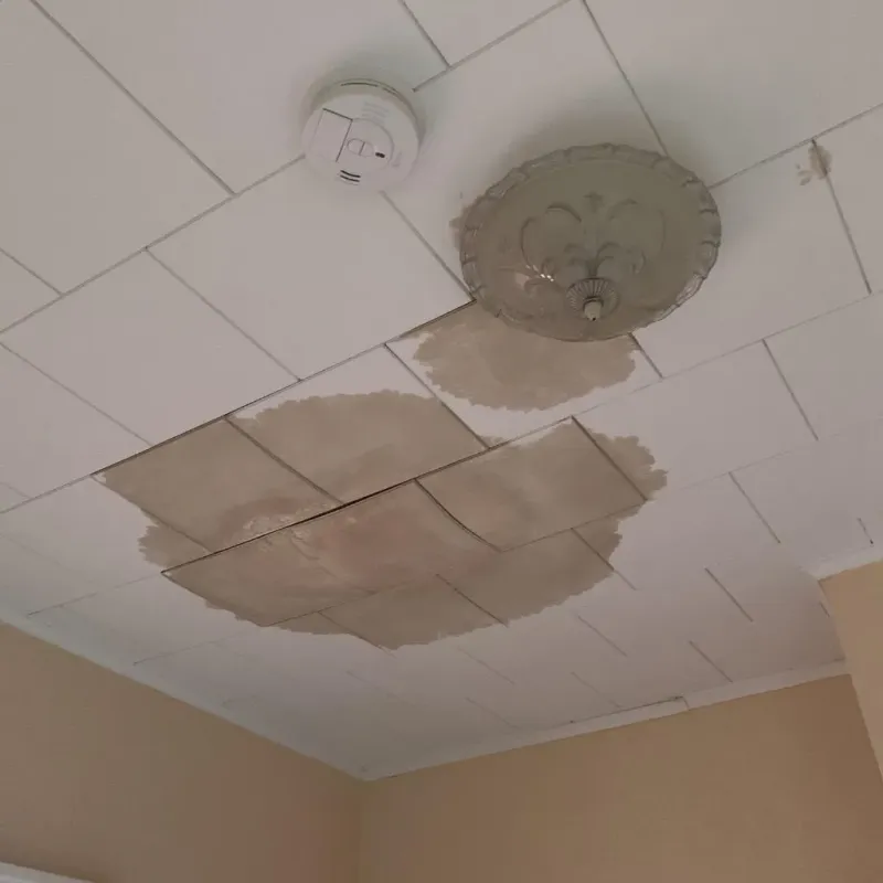 Ceiling Water Damage Repair in Dover, NJ