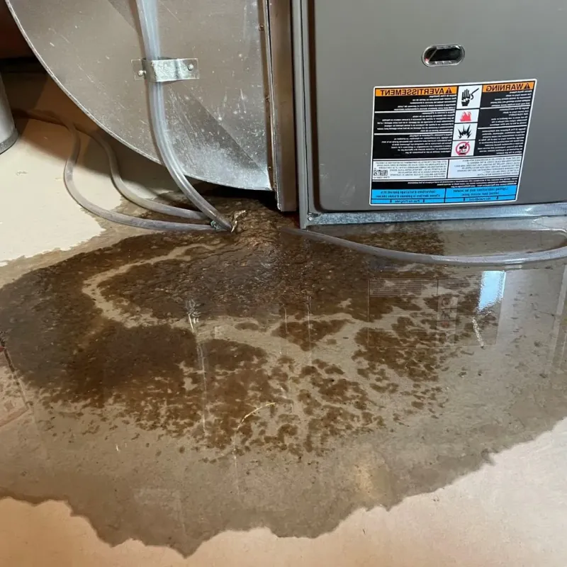 Pipe Burst and Leak Restoration in Dover, NJ